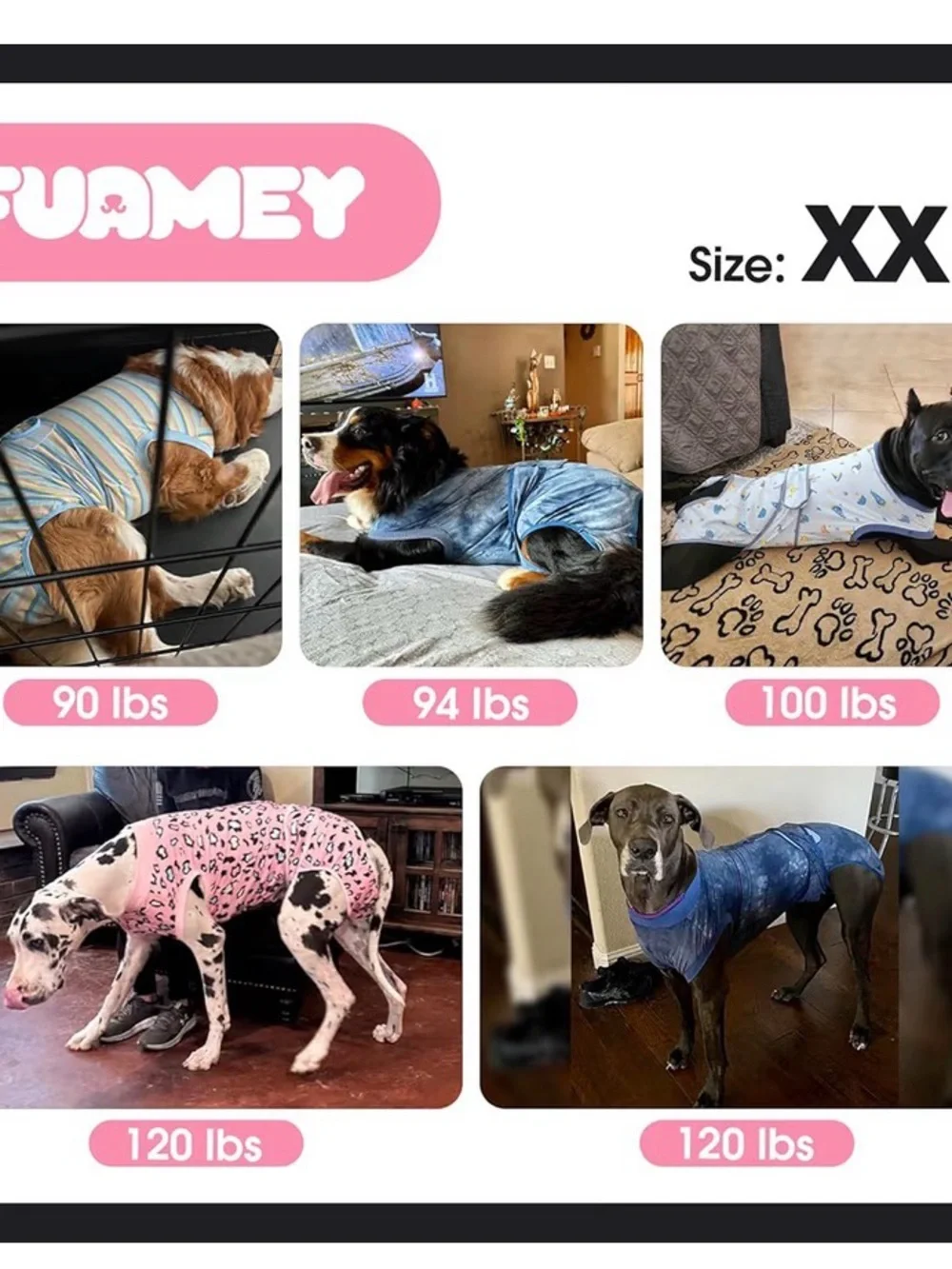 Dog XXL recovery Suit Male Female